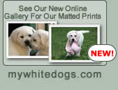 see our matted prinys site