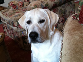 buster
