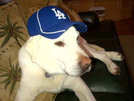 tucker