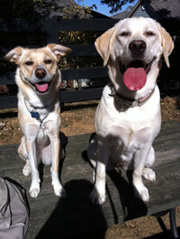 belle and millie