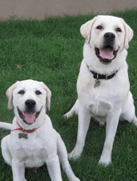 bunker and bogie
