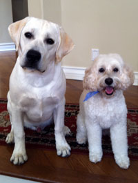 Buster and Willie (CA)