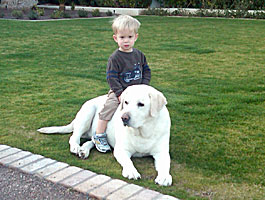cooper
